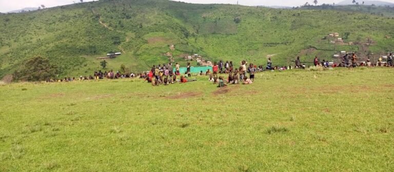 Sud-Kivu : la prolifération des tiques menace la santé des enfants en vacances à Miti
