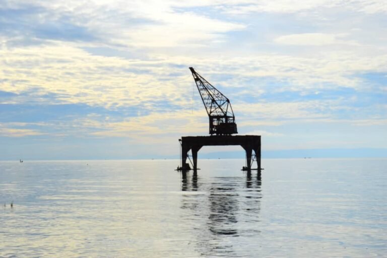 Exploitation du pétrole du lac Albert : la RDC appelée à des actions stratégiques