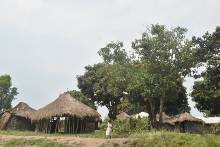 Plus de 3 millions de personnes en situation de précarité en Ituri, alerte OCHA