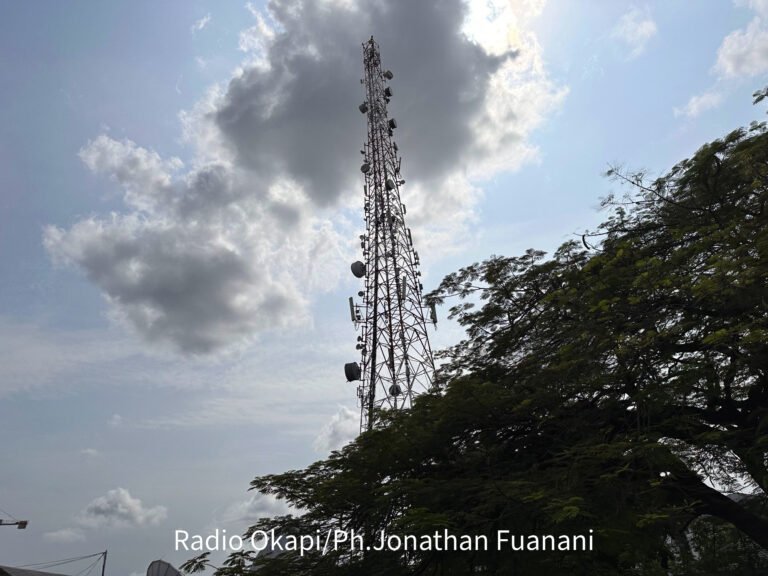 Le village Kayuyu au Maniema privé de réseau téléphonique et internet depuis un mois