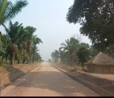 Kasaï-Central : 268 kilomètres de routes de desserte agricole entretenus au premier trimestre 2026