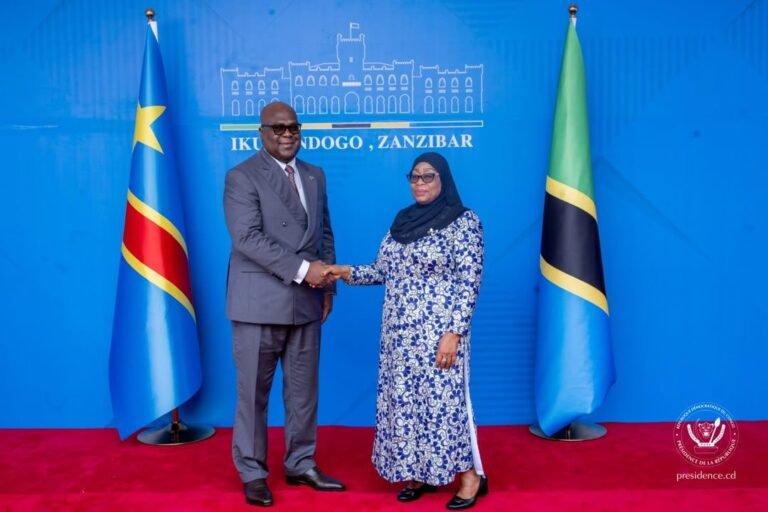 La RDC et la Tanzanie renforcent leur coopération économique et sanitaire