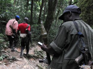 Le Groupe de contact international pour les Grands Lacs salue le protocole de désarmement des FDLR et appelle à sa mise en œuvre rapide