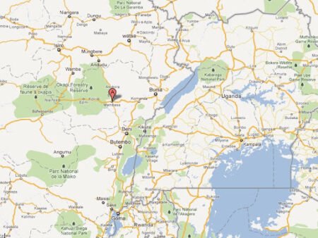 Un nouvel afflux de déplacés à Mambasa après des attaques attribuées aux ADF