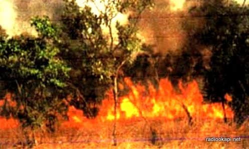 Plus de 100 hectares de cultures et des dizaines de maisons détruits par un incendie à Kasongo